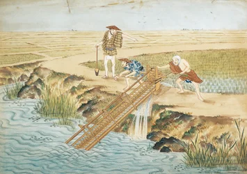 Paesi Bassi, Leida, Lavoro nelle risaie