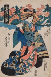 Fiori di ciliegio a Mukojima