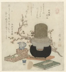 Preparazione del sake di prugna