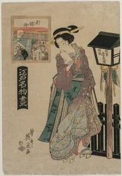 Immagini di Broccato Orientale dalla serie Prodotti Famosi di Edo, c. primi anni 1820