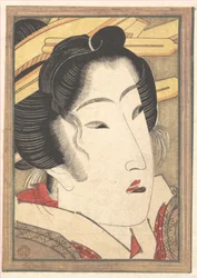Geisha respinta da «Passioni raffreddate dalla neve primaverile»