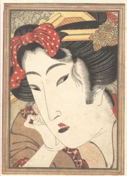 Geisha respinta da „Passioni raffreddate dalla neve primaverile“