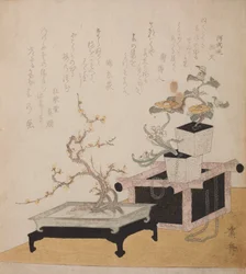 Tavolo con prugno in fiore e vasi di fiori