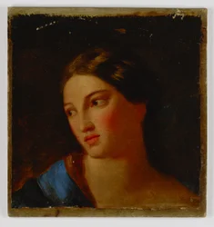 Testa di donna