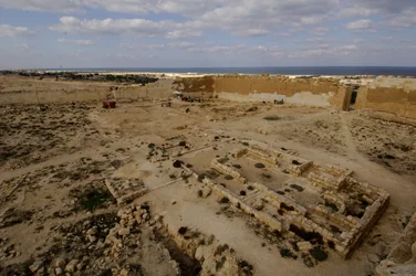 Cleopatra; La ricerca dell