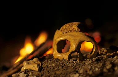 DOH; Neandertal di 130.000 anni, cranio di una donna, Krapina 3, Grotta di Krapina, Balcani