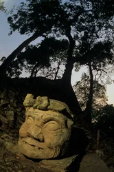 Dio N, albero di Ceiba, tempio, Maya, Copan, Honduras, periodo classico