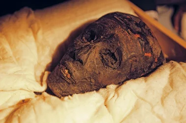 Testa e volto della mummia di Tutankhamon., 2005 (foto)