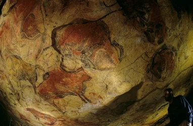 La galleria dei bisonti, Grotta di Altamira, Spagna