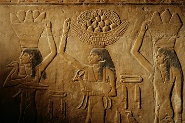 Donne che portano pane, uccello, capra e prodotti, tomba di Tiye, Egitto; Antico Regno; Saqqara