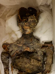 18ª Dinastia; Nuovo Regno; Egitto; Museo Egizio; Cairo; Mummia; Valle dei Re, 2009 (foto)