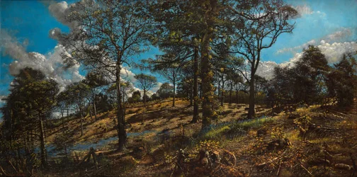Bosco di Bigbury