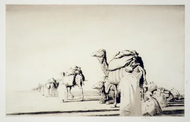 Trasporto nel deserto