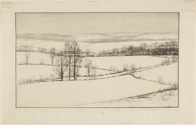 Campi di neve