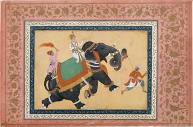 Principe a cavallo di un elefante
