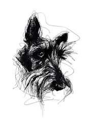 Schizzo espressivo di uno Scottish Terrier