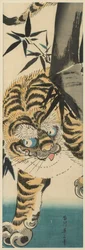 Tigre che emerge dal bambù