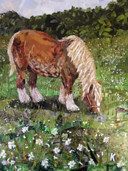 Cavallo sul pendio