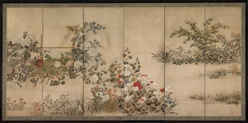 Fiori e erbe