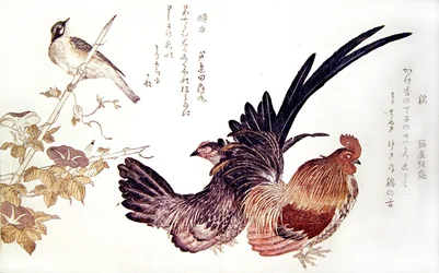 Una gallina domestica e un gallo e un passero giapponese su un germoglio di bambù, c.1791
