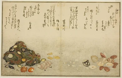 Ashi-gai, hamaguri, ko-gai, suzume-gai, akoya-gai e katashi-gai, dal libro illustrato "Gifts from the Ebb Tide (Shiohi no tsuto)"