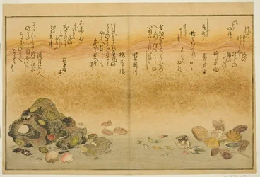 Ashi-gai, hamaguri, ko-gai, suzume-gai, akoya-gai e katashi-gai, dal libro illustrato "Gifts from the Ebb Tide (Shiohi no tsuto)"