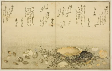 Chidori-gai, itaya-gai, awabi, utsuse-gai, asari-gai, e monoara-gai, dal libro illustrato "Regali dalla marea calante"