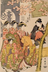 Cortigiane che passeggiano sotto i ciliegi davanti al Daiko, c.1789 (stampa xilografica oban tate-e, colore su carta) (dettaglio)