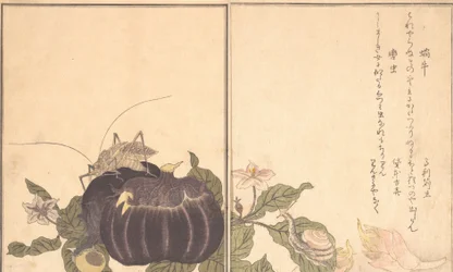 Lumaca terrestre Katatsumuri, cavalletta gigante Kutsuwamushi