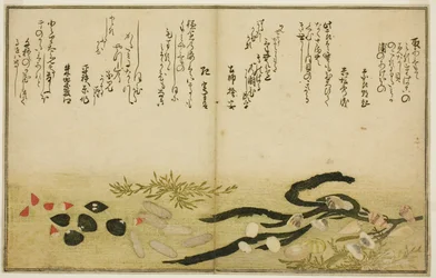 Minashi-gai, shio-gai, katatsu-gai, miso-gai, chijimi-gai e chigusa-gai, dal libro illustrato "Regali dalla marea calante (Shiohi no tsuto)"