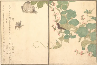 Vespa di carta Hachi, bruco peloso Kemushi..., 1788