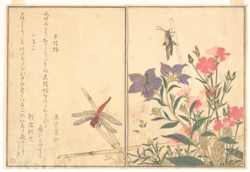 Libellula rossa (Akatonbo); locusta (Inago), dal Libro illustrato delle creature striscianti (Ehon mushi erami)