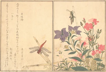 Libellula rossa Akatonbo, locusta Inago..., 1788