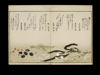 Shiohi no tsuto (Regali dalla marea calante), noto come il Libro delle Conchiglie, 1789