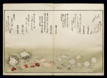 Shiohi no tsuto (Regali dalla marea calante), noto come il Libro delle Conchiglie, 1789