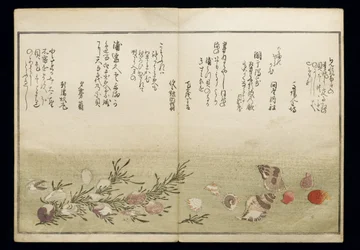 Shiohi no tsuto (Regali dalla marea calante), noto come il Libro delle Conchiglie, 1789