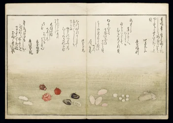 Shiohi no tsuto (Regali dalla marea calante), noto come il Libro delle Conchiglie, 1789