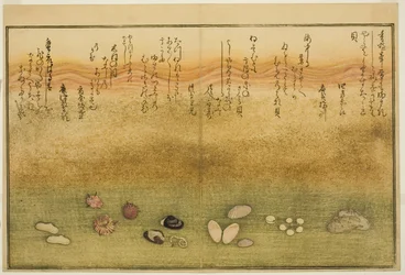 Sudare-gai, hana-gai, sakura-gai, mumeno-gai, nadeshiko-gai e kinuta-gai, dal libro illustrato "Regali dalla marea calante"
