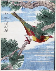 Uccello su un albero. Disegno giapponese di Kitao Kosuisai
