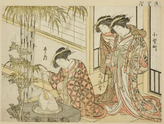 Cortigiane di Maruya, dal libro "Specchio delle belle donne dei quartieri del piacere (Seiro bijin awase sugata kagami)," vol. 2