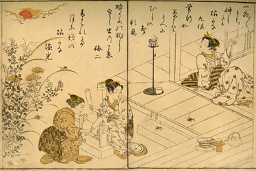 Il Kinuta, 1775, 1924