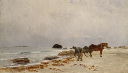 Guidare le alghe