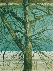 Studio di albero sul Danubio