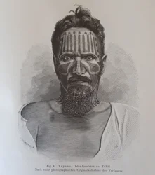 Juan Tepano, illustrazione da "Über die Tätowirung der Oster-Insulaner", di Hjalmar Stolpe