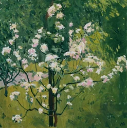 Alberello in fiore