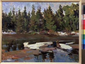Primavera. Paesaggio, rive di un fiume nella foresta