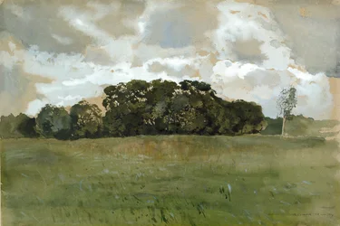 Paesaggio con nuvole grigie