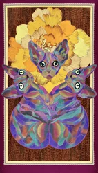 Sphynx dai colori vivaci