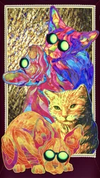 Gatti con occhiali alla moda