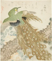 Pavone, pino e peonie, dalla serie "Un insieme di tre petali (San hira no uchi)"